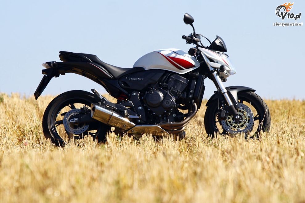 2010 Honda Hornet 600